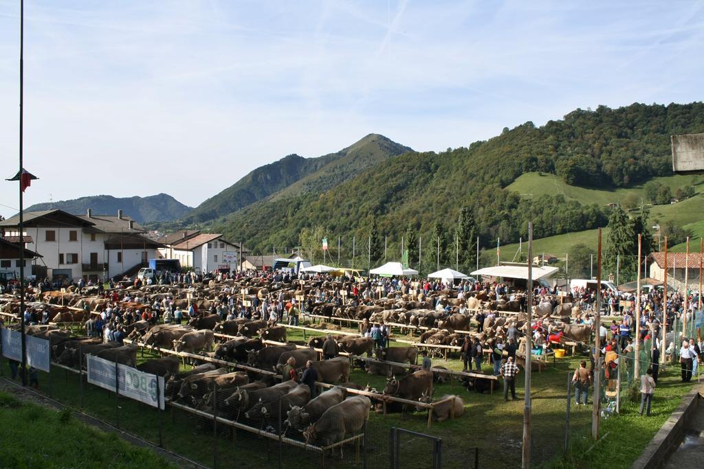 Villa Dei Pini Serina  Rom bilde